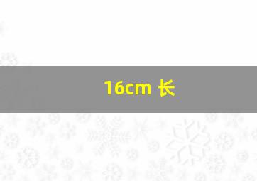 16cm 长